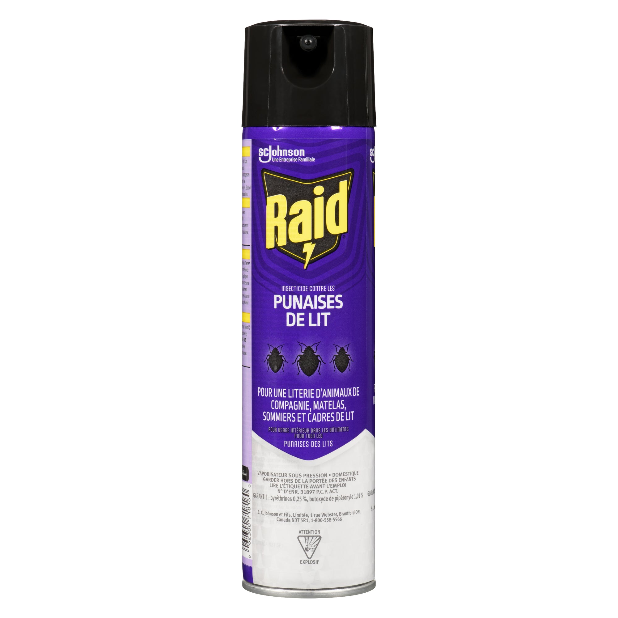 Raid Bed Bug Killer Spray, 350g Giant Tiger